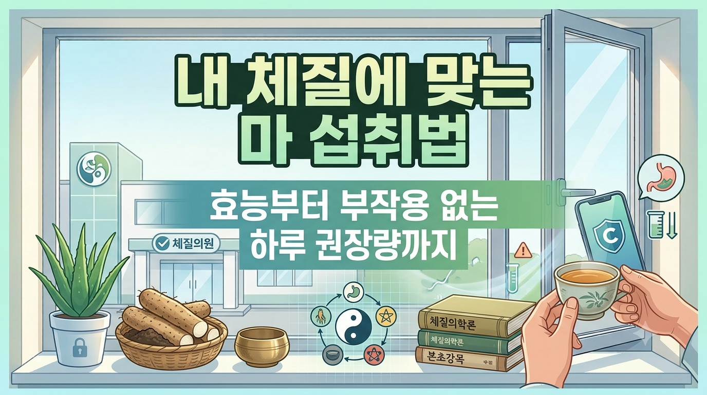 마 효능 부작용 내 체질에도 맞을까? 가려움 없는 체질별 구분과 하루 권장량